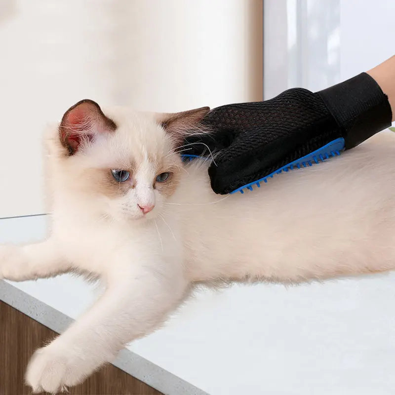 Brosse pour chat gant