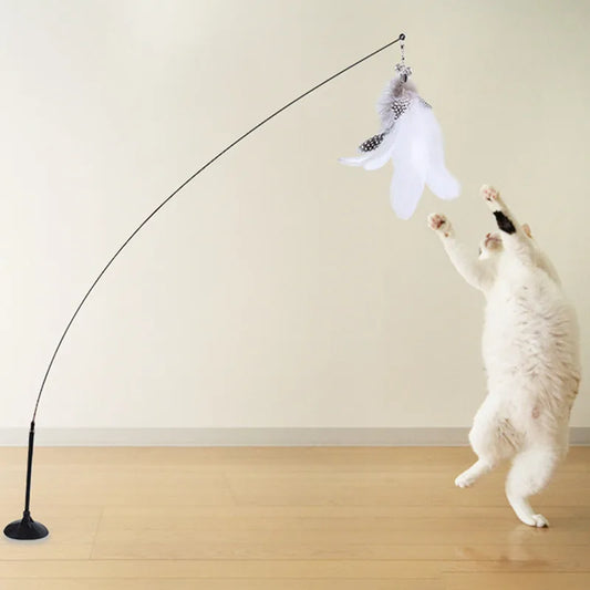 jouet interactif pour chat