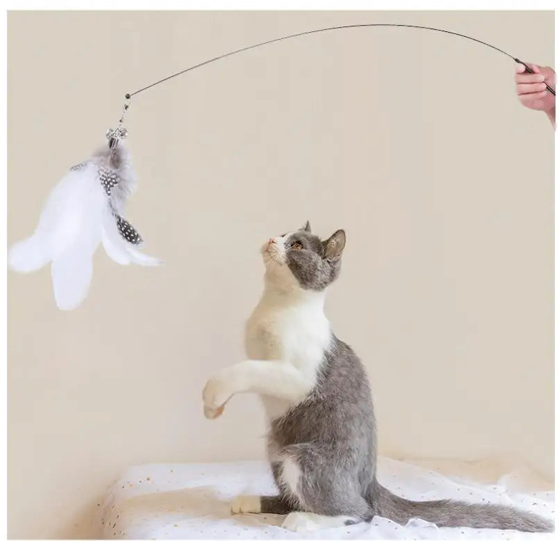 jouet interactif pour chat