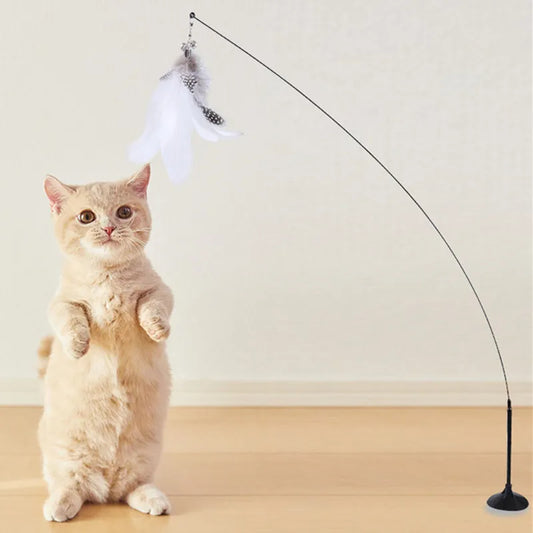 jouet interactif pour chat