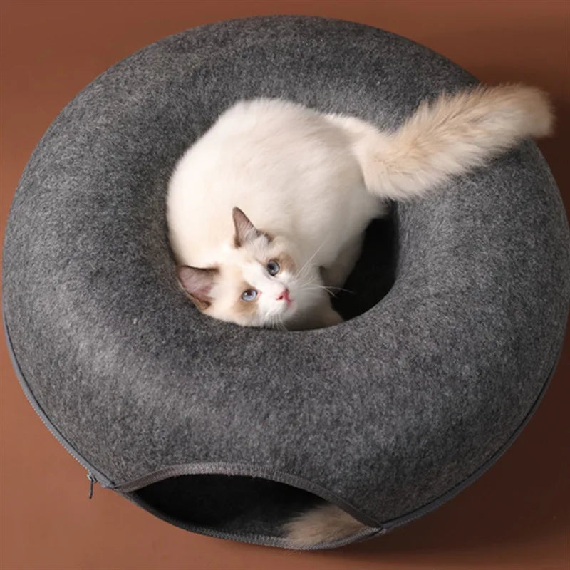 tunnel pour chat