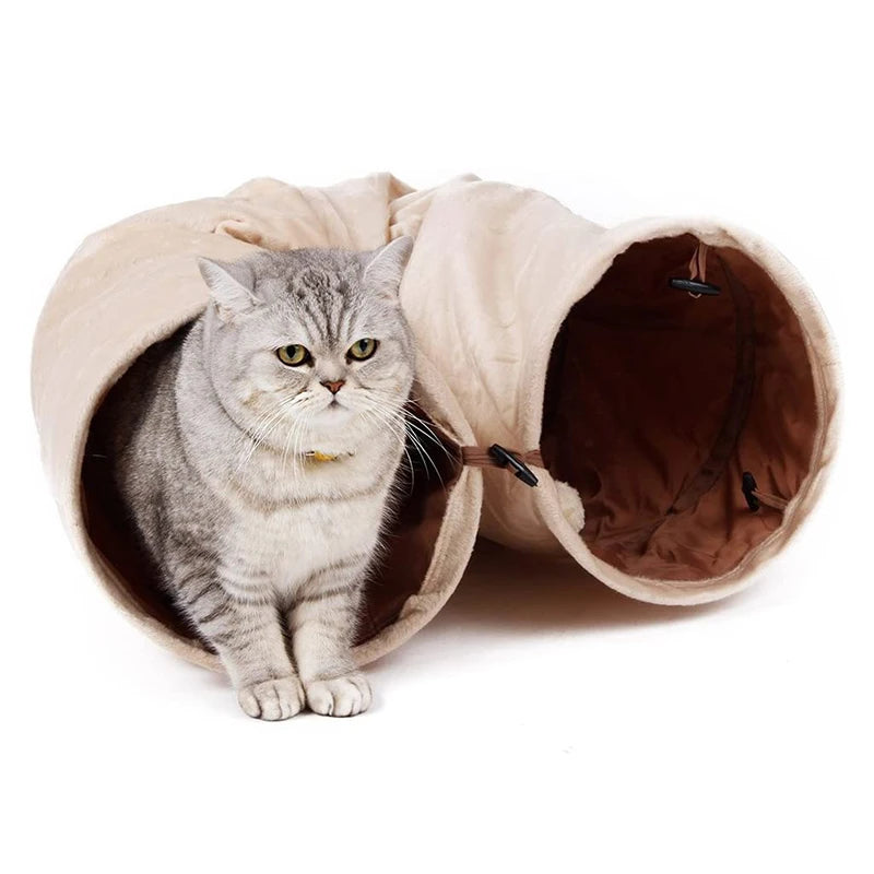 tunnel pour chat