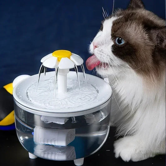 Fontaine à eau pour chat