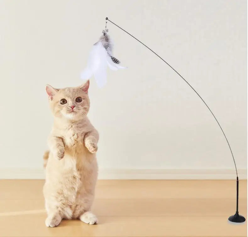 jouet interactif pour chat