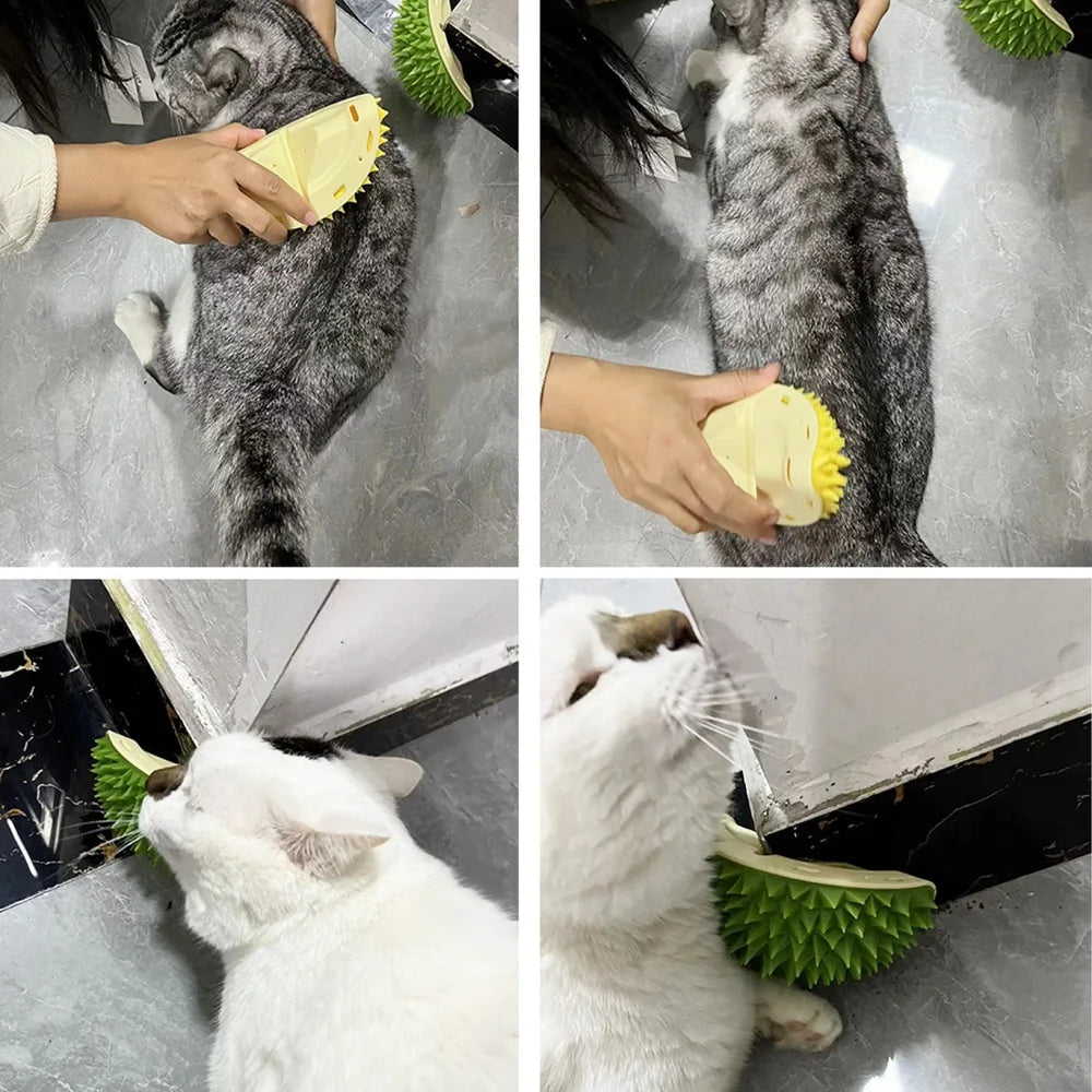 brosse pour chat