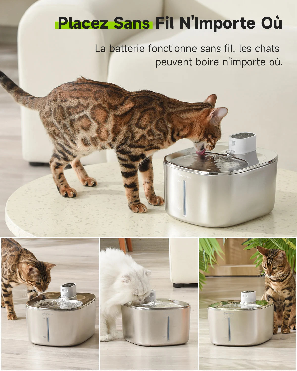 fontaine à eau pour chat