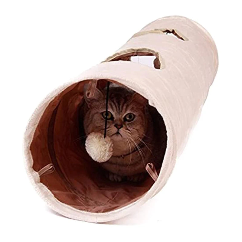 tunnel pour chat