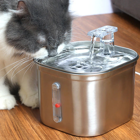 Fontaine à eau pour chat en acier inoxydable