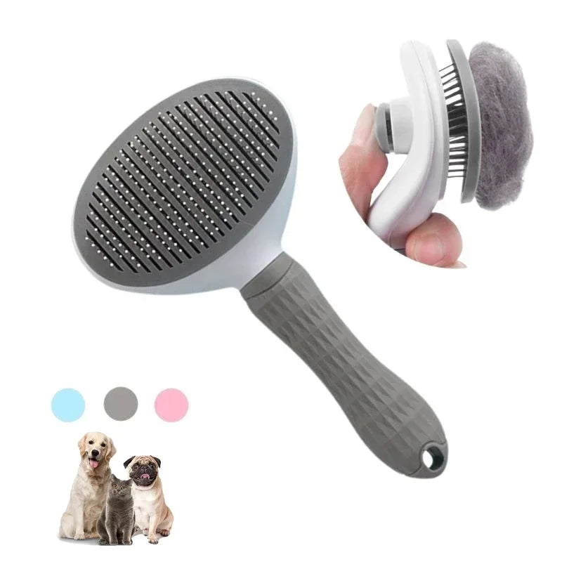 brosse pour chat