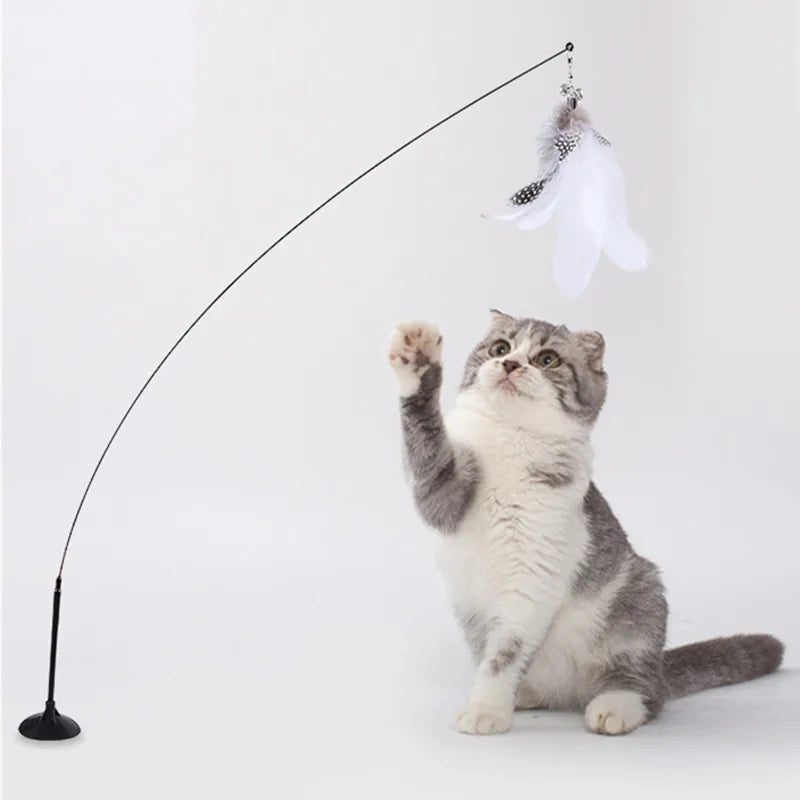 jouet interactif pour chat