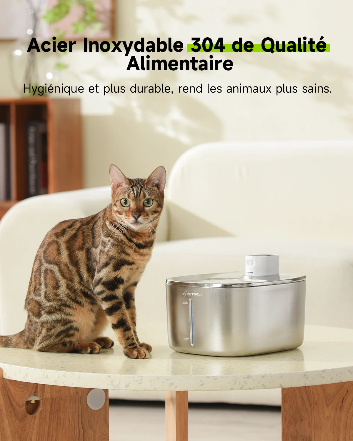 fontaine à eau pour chat