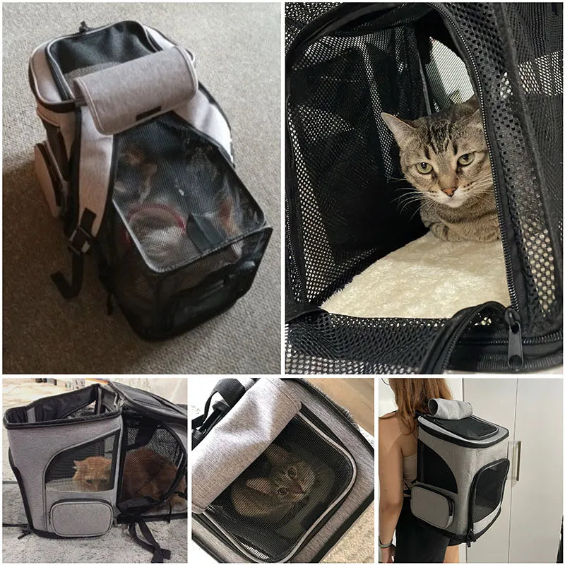 Sac de transport pour chats