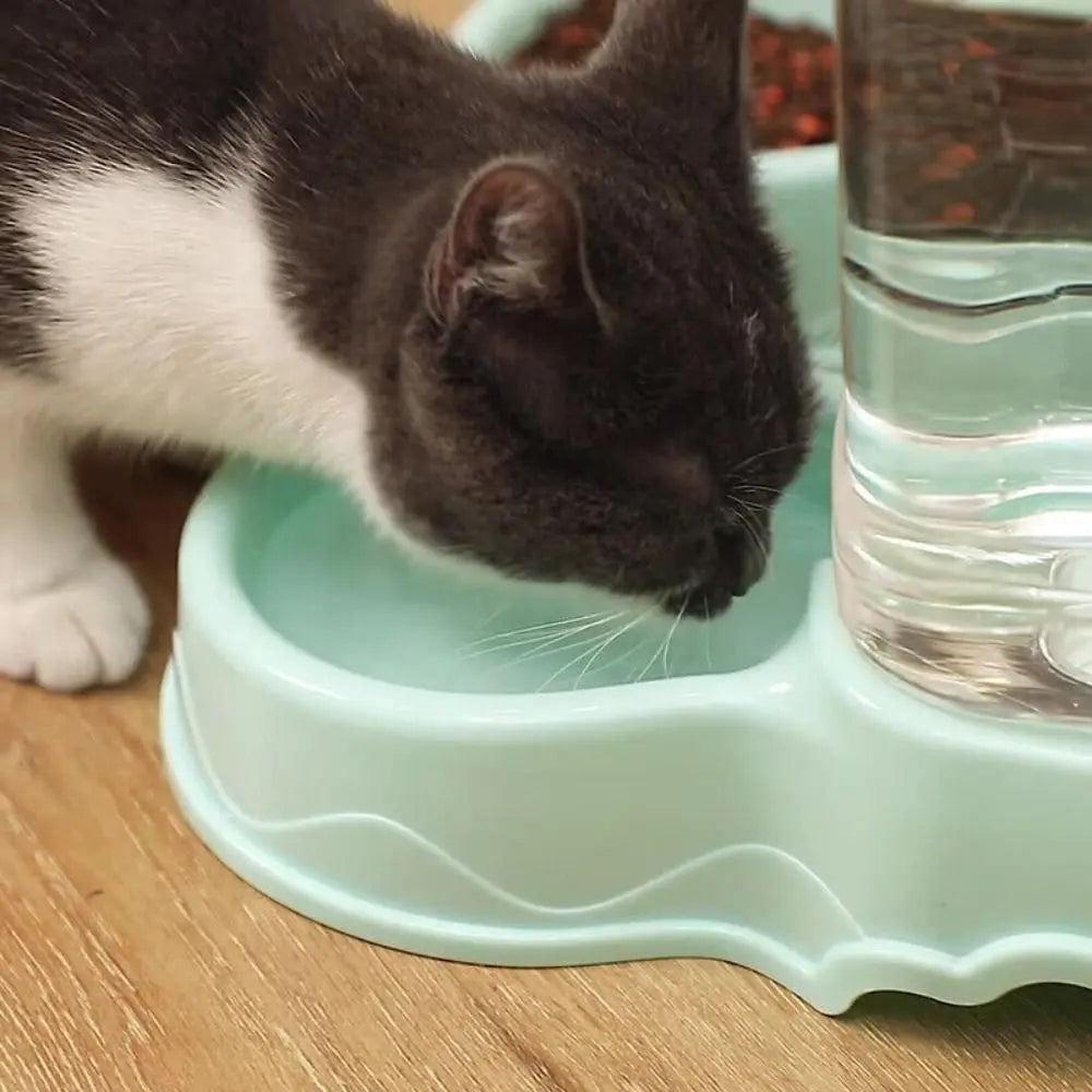 Distributeur de croquettes pour chat